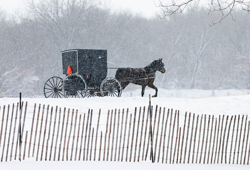 Midwest Woman Steals Amish Horse And Buggy From Walmart Lot