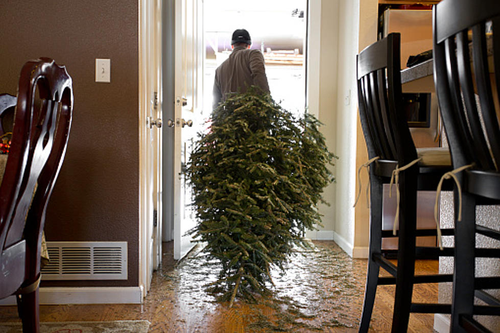 Taking Down The Christmas Tree: When You’re Supposed To Do It