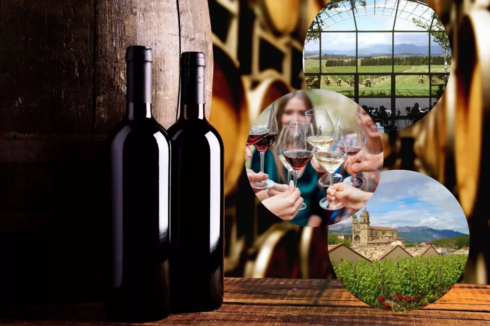 5 Breathtaking Illinois Wineries to Check Out This Summer