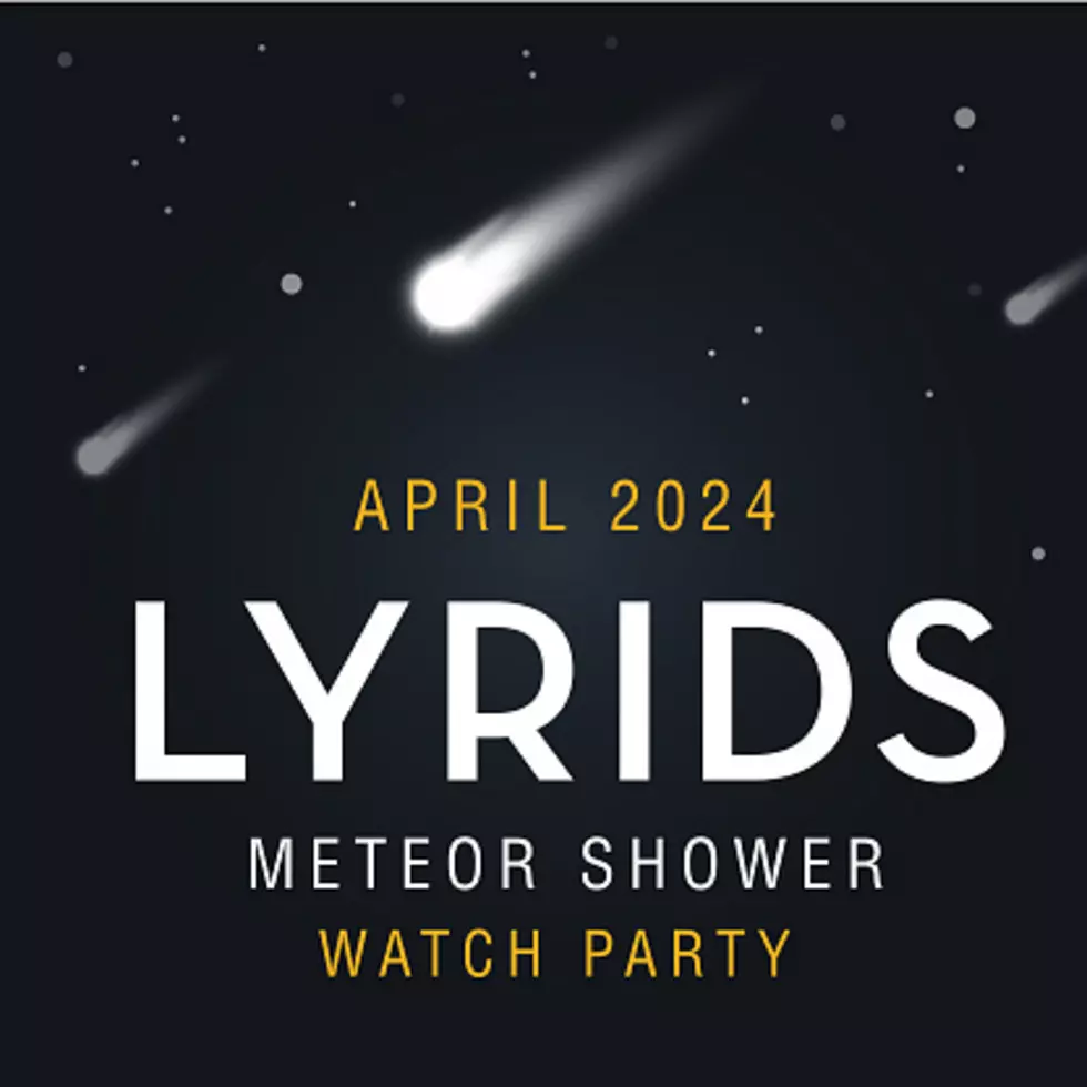 Illinois Gets A Good Look At The Lyrid Meteor Shower This Weekend