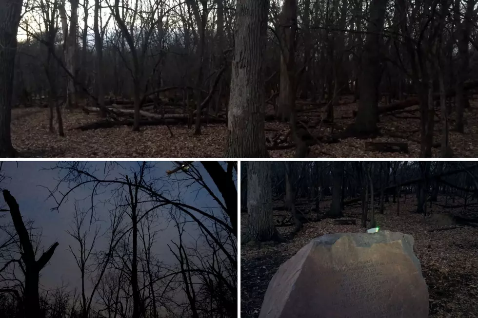 Are These Creepy Woods The Most Haunted In Illinois? [PICS]
