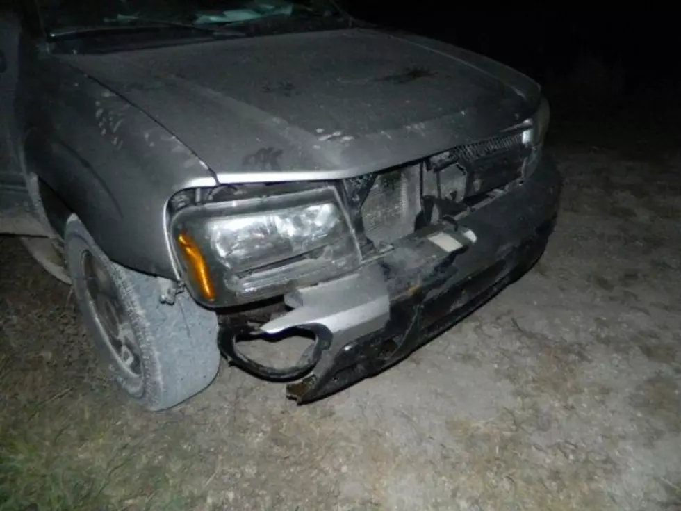 Another Car vs Deer Accident in NE Iowa