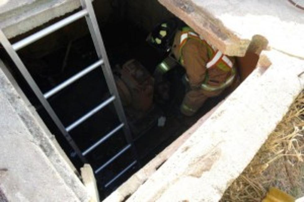 Dog Rescued from Well, Owner Sought