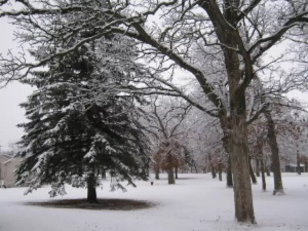 New Snow Freshens up NE Iowa