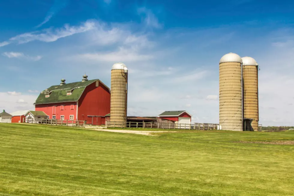 Largest Grain Bin in the State in NE Iowa