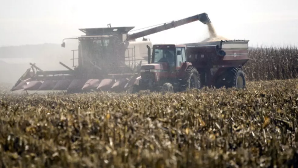 Farm Futures Survey Sees Bigger Soybean Crop, Smaller Corn