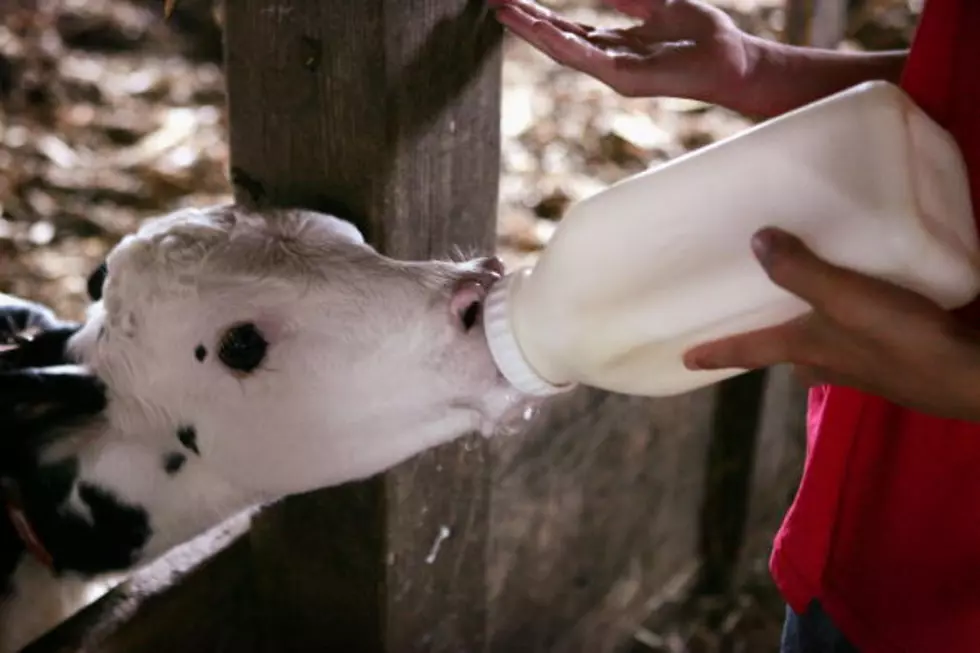 Dairy Groups Urge Obama to Oppose WHO Proposal
