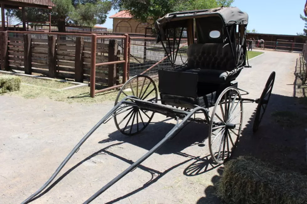 Truck Strikes, Kills Amish Boy Near Fairbank