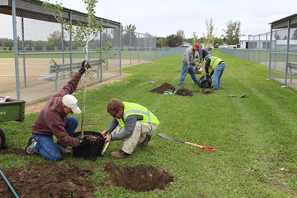 Local Police Give Back to City by Planting Trees