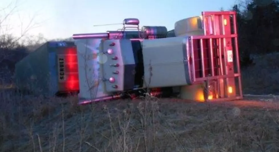 Hogs Die in Fayette County Semi Rollover Accident