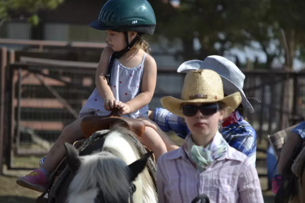 Horse Ride Through NE Iowa to Raise Funds for Camp Sunnyside