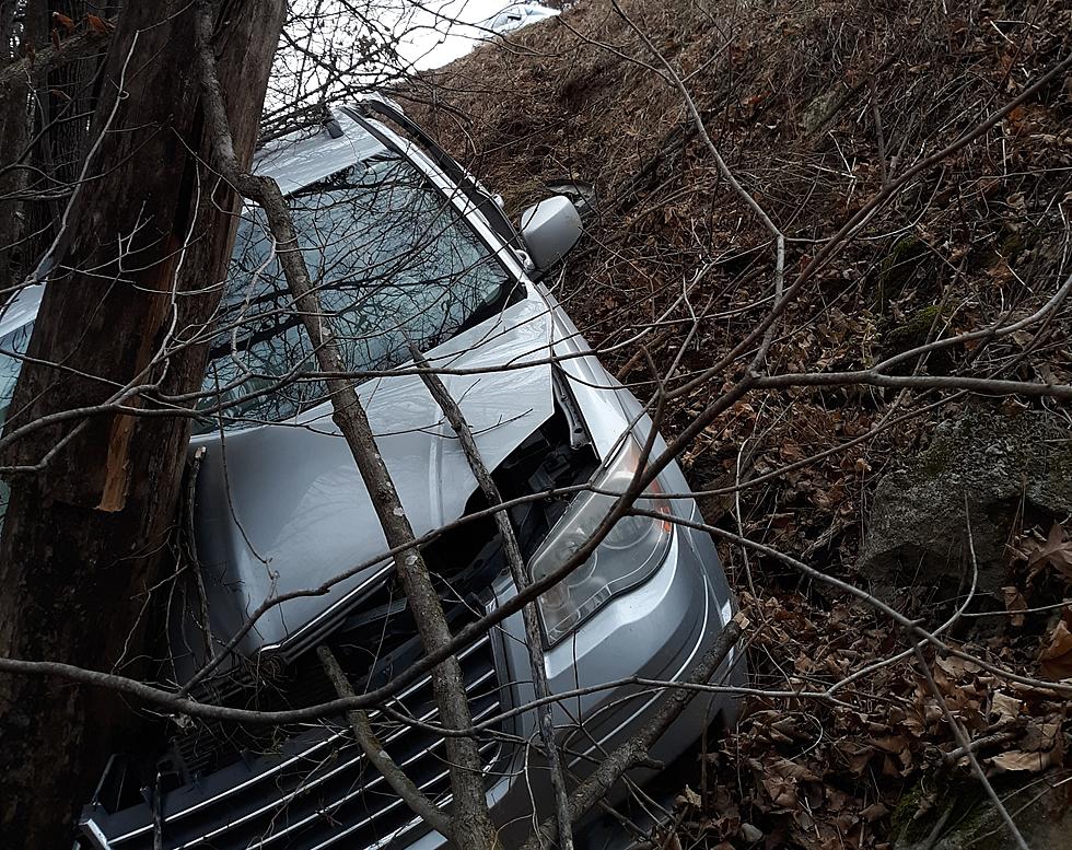 Area Woman Injured When Van Crashes into Tree