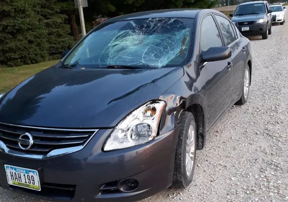 Deer Shatters Car Windshield, Driver Escapes Injury