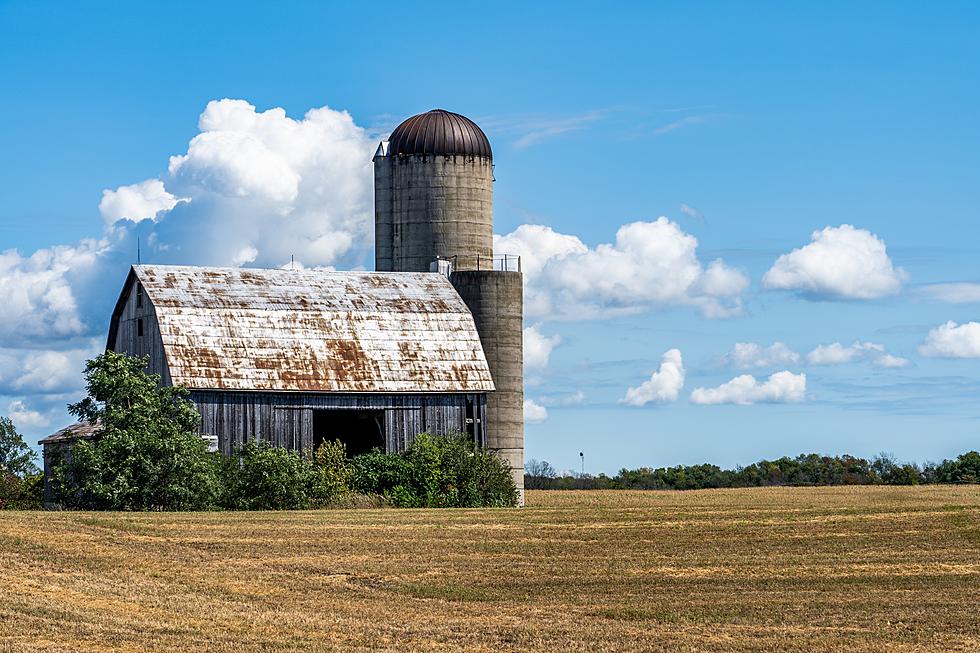 House Passes Bill That Could Ban A Type Of Farming In Iowa