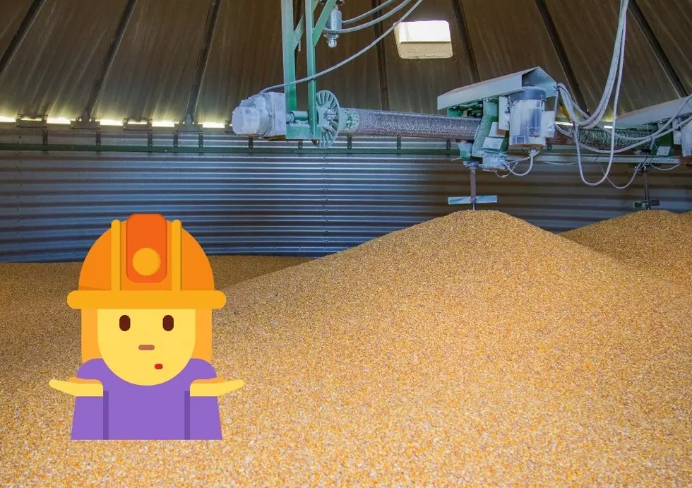 Maybe Grain Bin Safety Is Important For Iowa Students To Learn