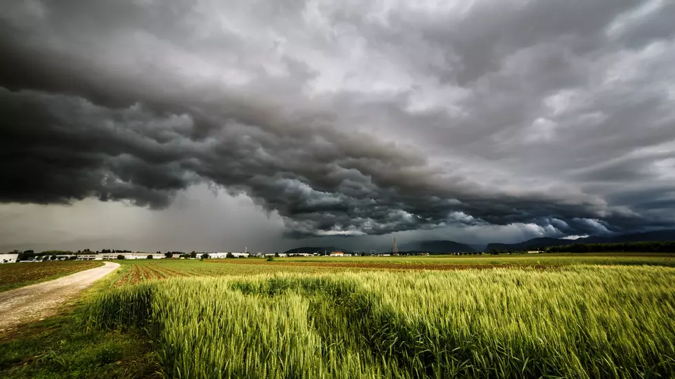 After Two Years, Benton County Farm Starts Derecho Cleanup