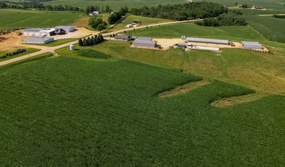 Is $1.3 Million A Good Deal For This Eastern Iowa Farm? [PHOTOS]