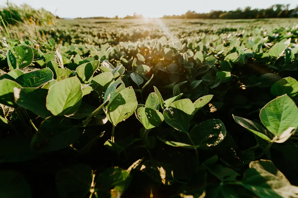 Iowa Farmer Honors Late Dad In A Special Way