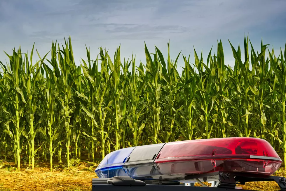 Iowa Felon Caught By Missouri Deputies After Underestimating Corn
