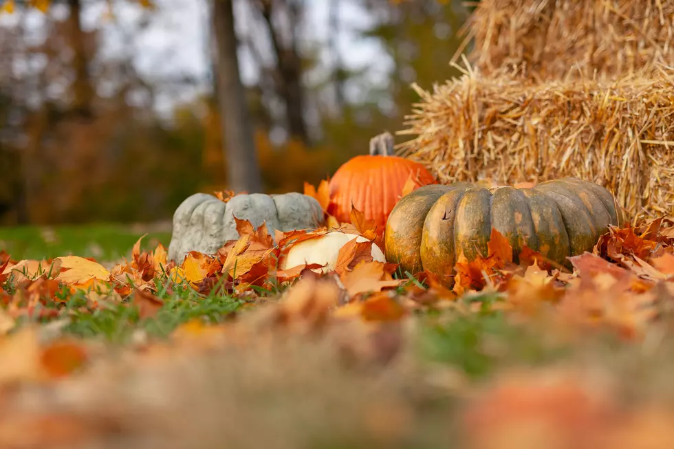 Photo by Joseph Gonzalez on Unsplash