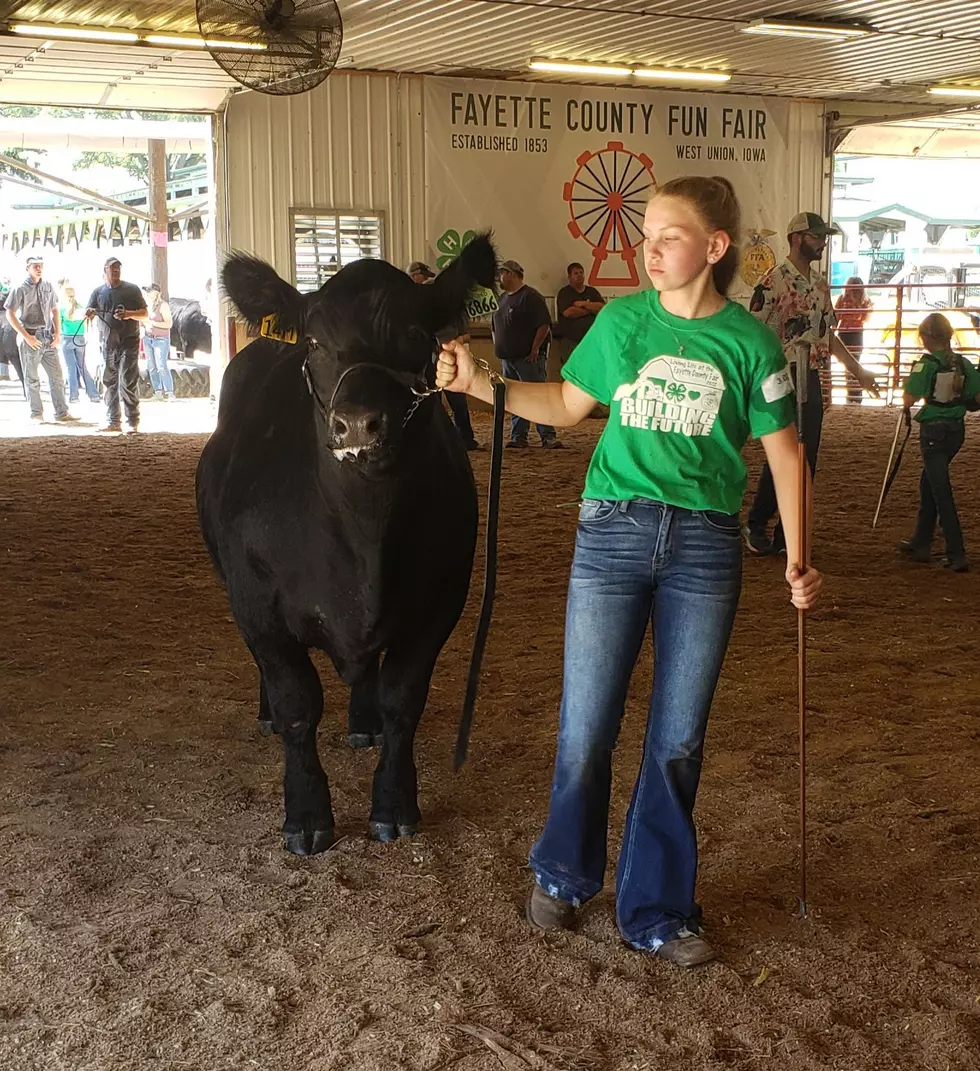 Fayette County Celebrates National 4-H Week [PHOTOS]