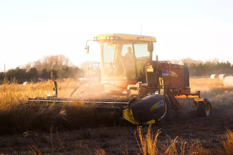 Farmers Are Struggling, Social Media Shares Why [WATCH]