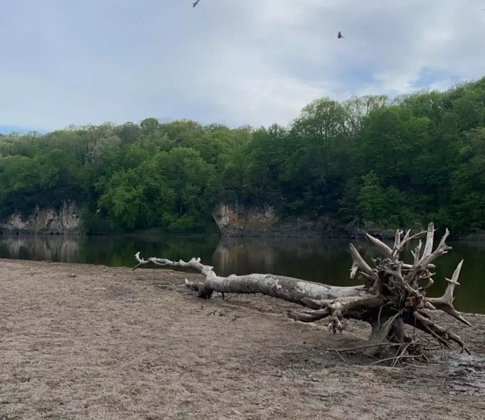 Palisades-Kepler State Park-- Townsquare Media; via Kailey Foster