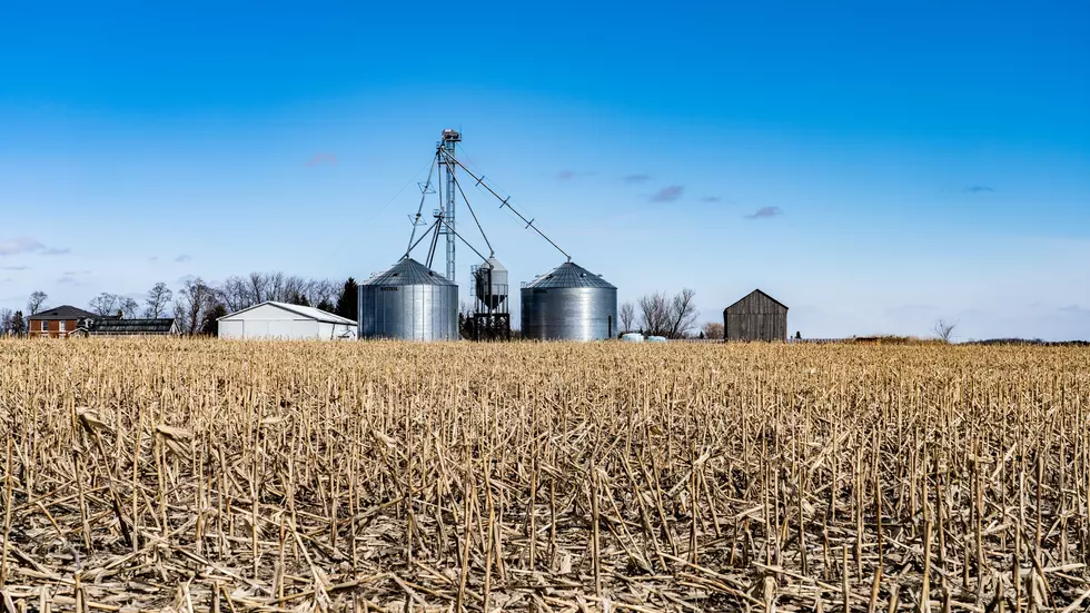 Person Rescued From Grain Bin On Iowa Farm