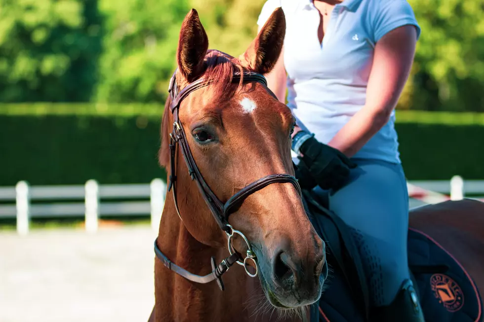 Iowa Family Plans Therapy Stables After Son&#8217;s Death