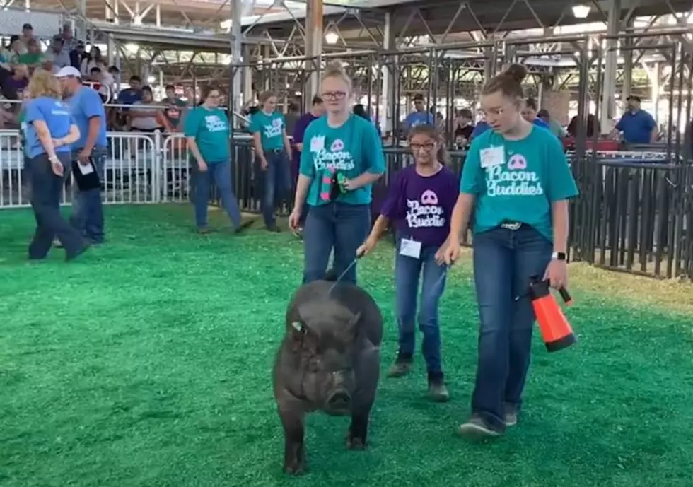 Successful Iowa State Fair Program To Spread Across The State