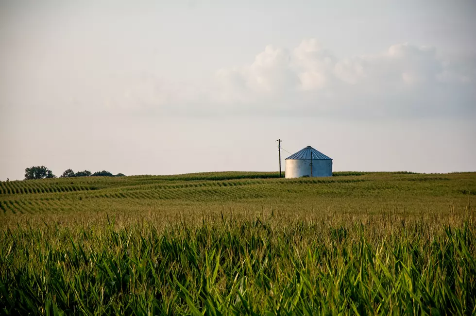 Who Grows The Most Corn And Soybeans In Iowa?