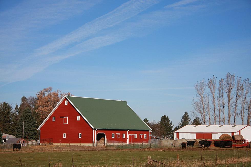 $15,000 Reward Offered In NE Iowa Farm Vandalism Case