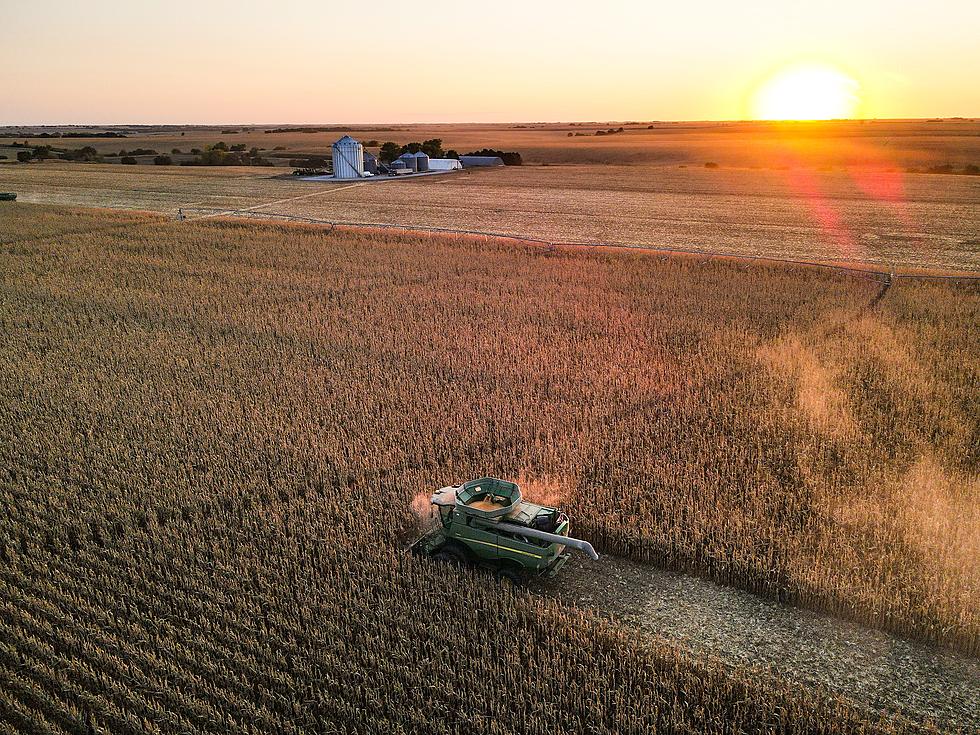 Ethanol Industry Warn Iowa Farmers Of Plummeting Prices