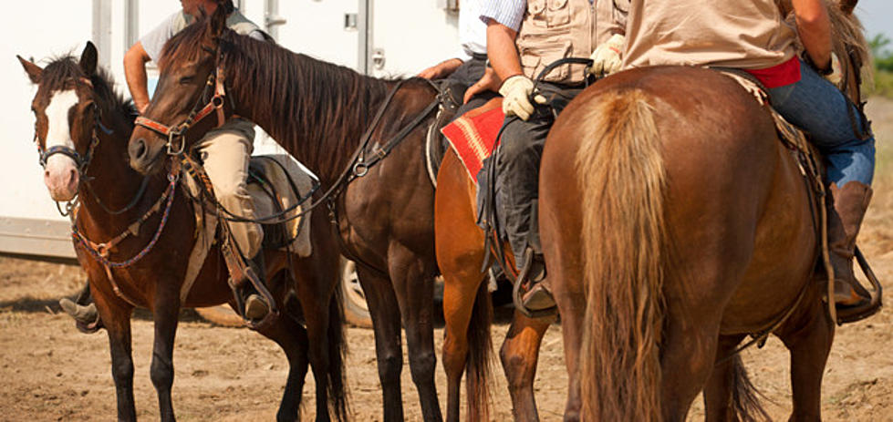 Unbridled Spirits Hay Drive is Back