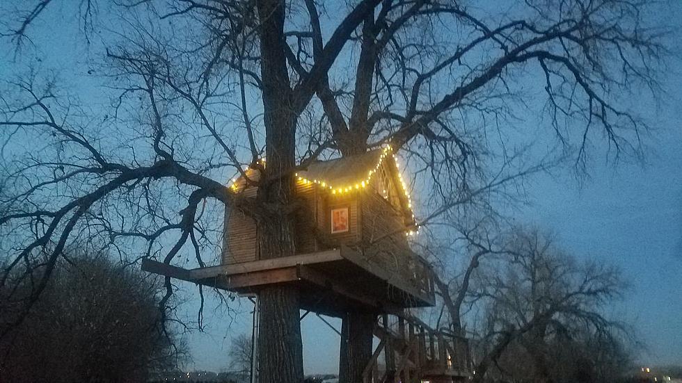 This Adult Treehouse is a Cool Airbnb Getaway [GALLERY]