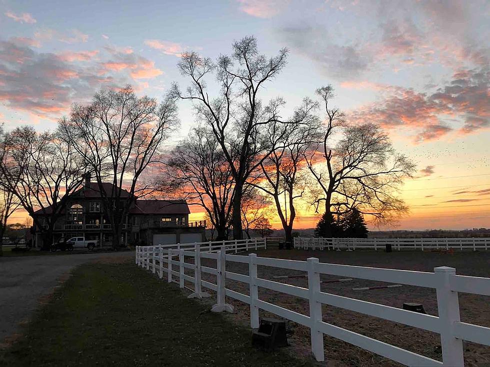 Eastern Iowa Airbnb Surrounded by Graceful Horses [GALLERY]