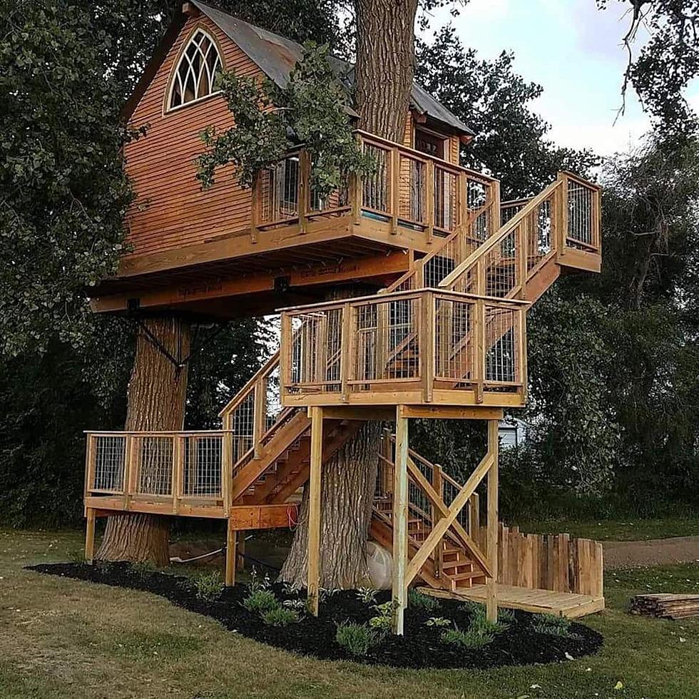 This Adult Treehouse is a Cool Airbnb Getaway [GALLERY]