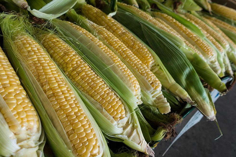 Popular Eastern Iowa Sweet Corn Farm Stops Sales