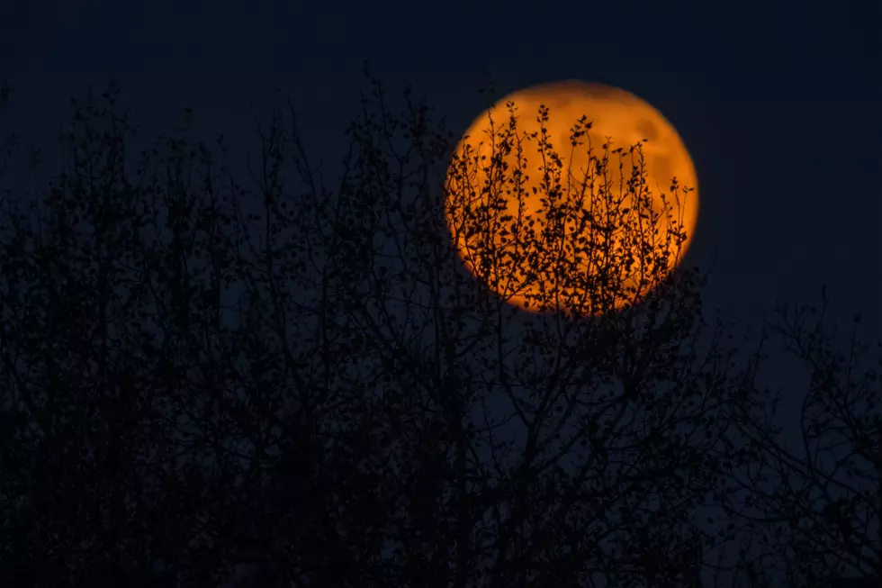 Take the Family on a Haunted Train & Trolley Ride in Eastern Iowa