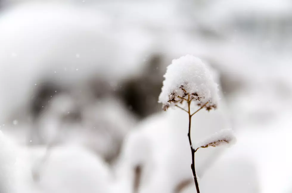 Measurable Snow Arrives in Eastern Iowa This Week
