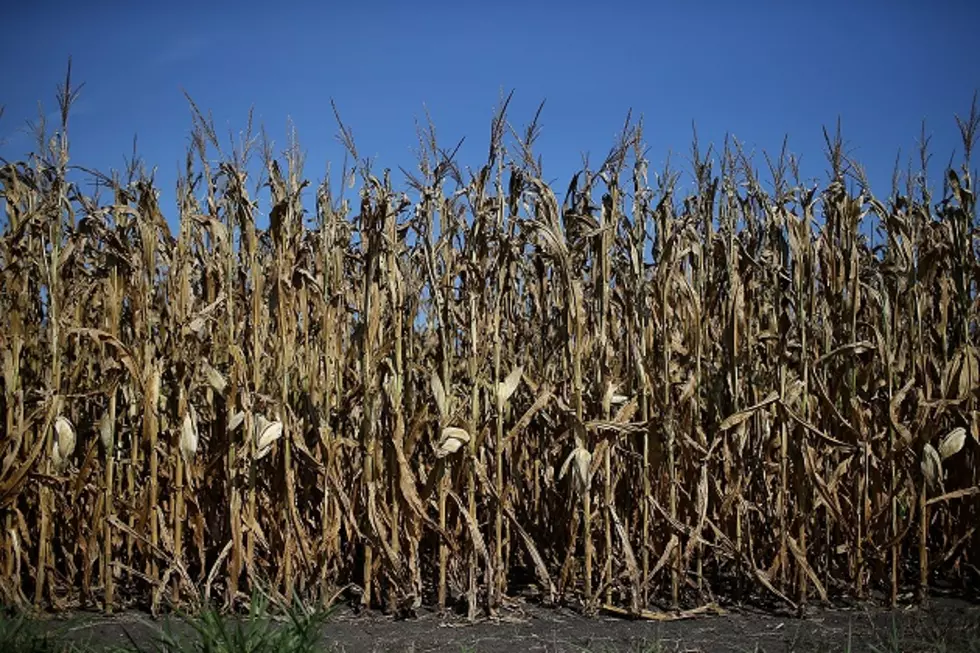 Iowa Drought On Doorstep of Cedar Rapids &#038; Iowa City