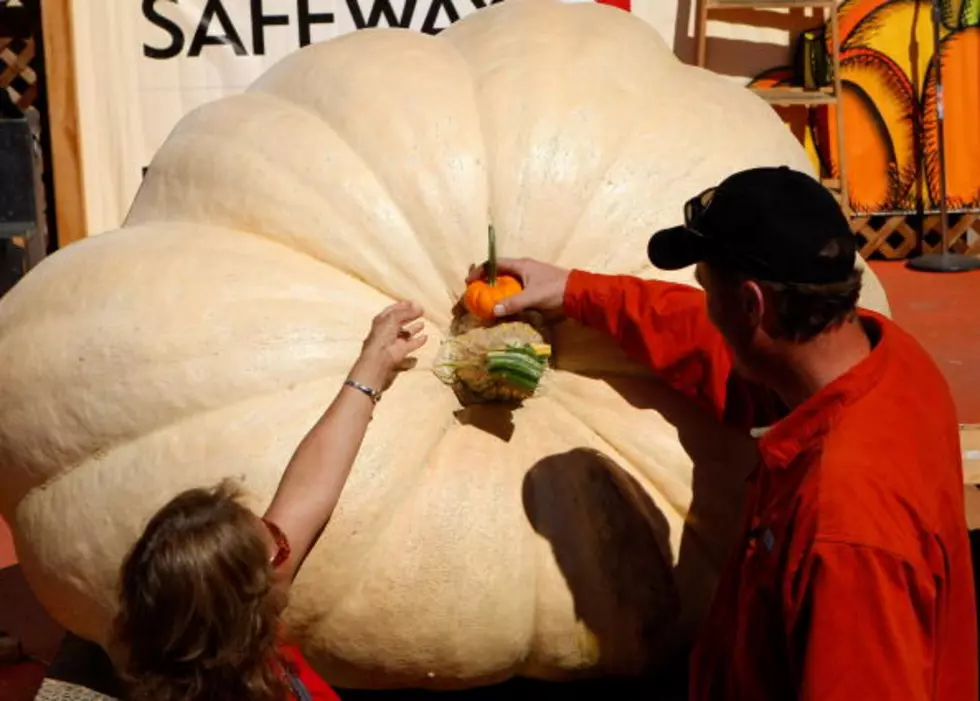 Pumpkinfest in Anamosa is Brain’s Favorite Fall Festival