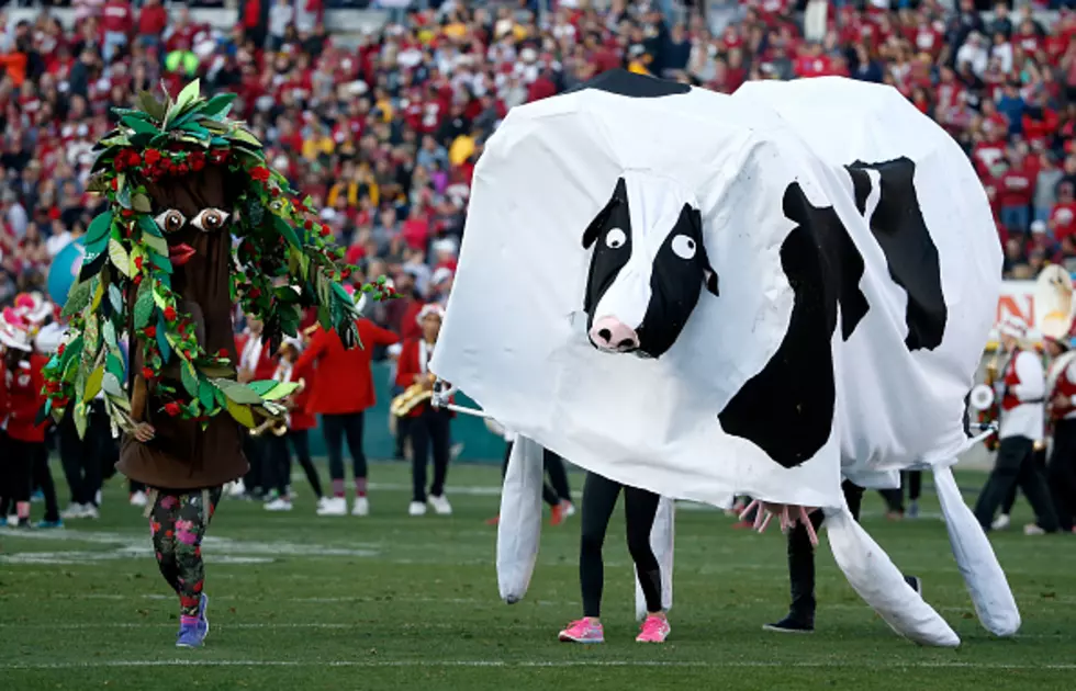 Stanford Marching Band Suspended Through Next Spring