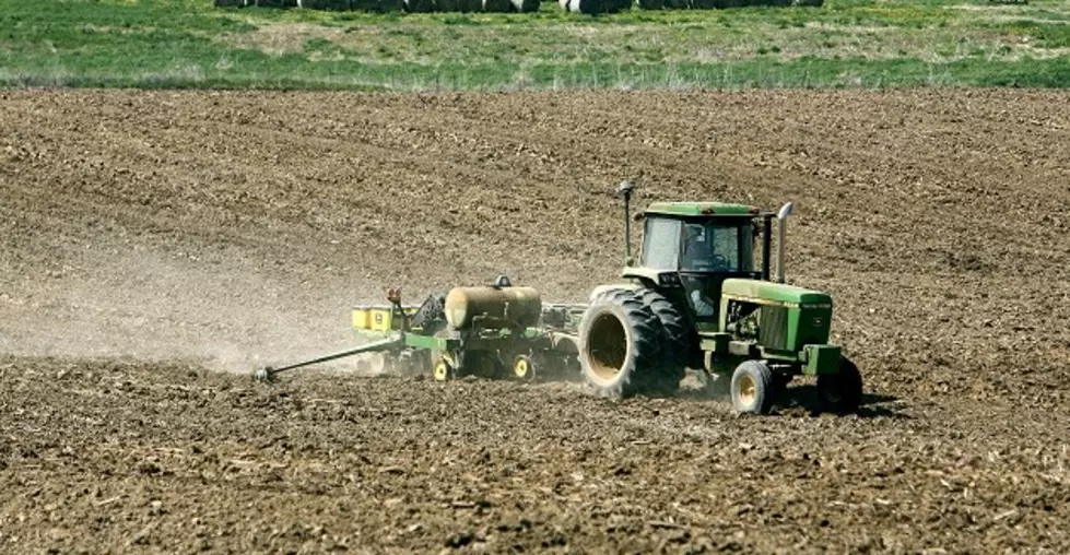 Iowa Corn And Soybean Crops Ahead of Schedule