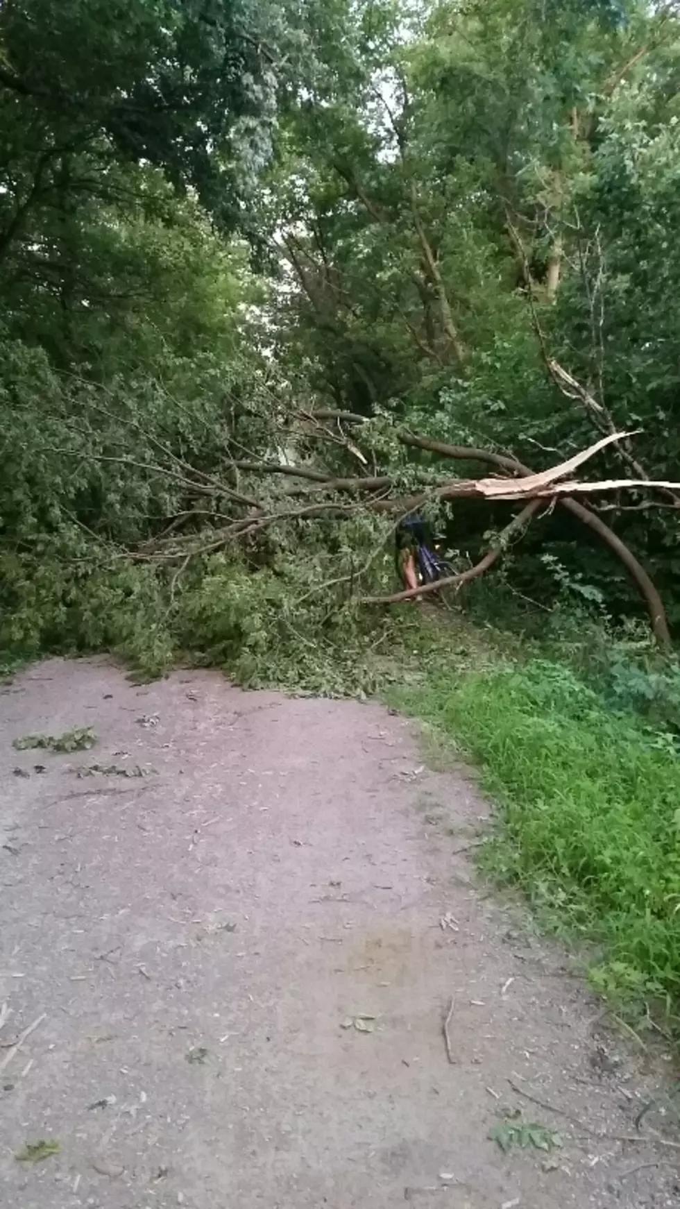 Cedar Valley Nature Trail Blocked Near Center Point