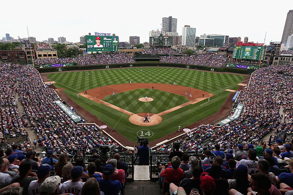 The Best Food to Get at Each Major League Baseball Stadium