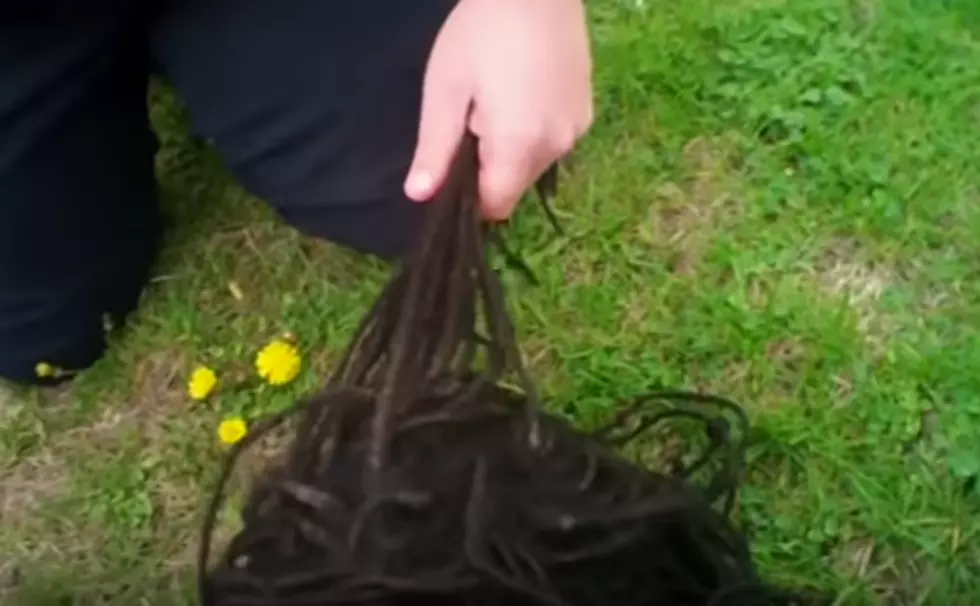 Waterloo Police Officer Disciplined After Repeatedly Jerking On Suspect’s Dreadlocks [VIDEO]