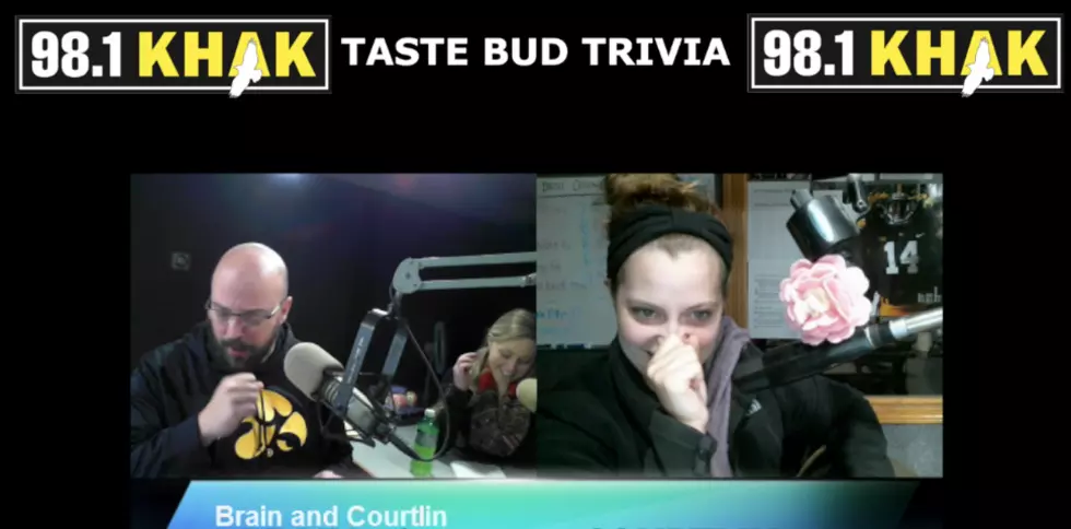 Brain &#038; Courtlin&#8217;s &#8216;Taste Bud Trivia&#8217; &#8212; Wasabi Candy [VIDEO]