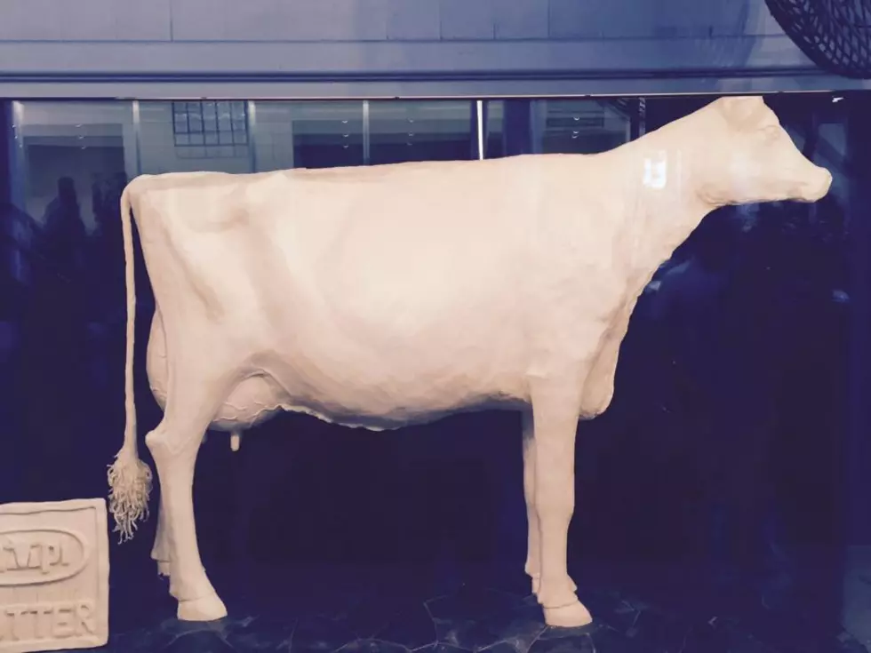 Iowa State Fair to Offer A Butter Cow Class