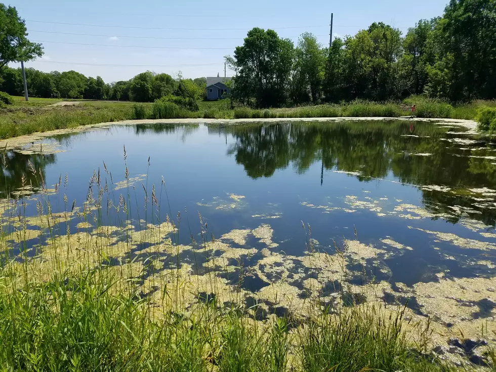 Why You NEED To Fish This Cedar Rapids Pond THIS Weekend